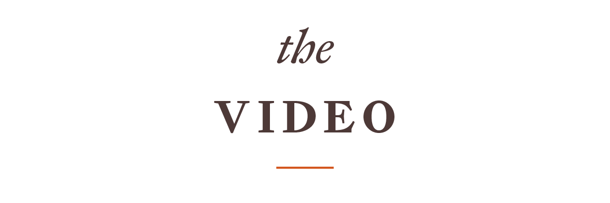 the video
