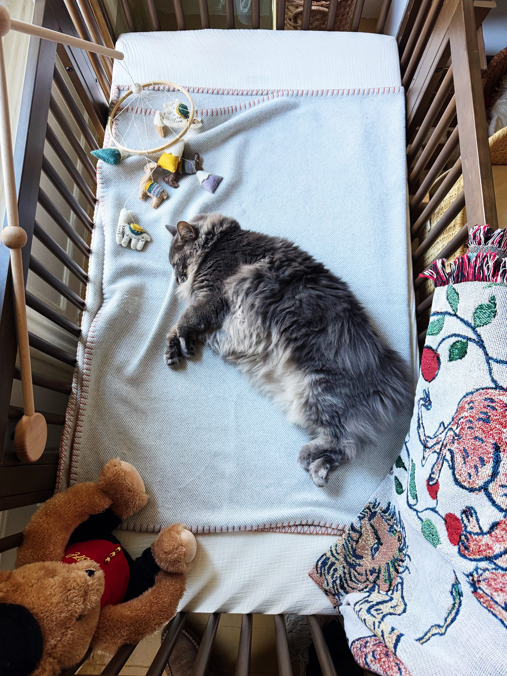 A Little Baby Registry Guide