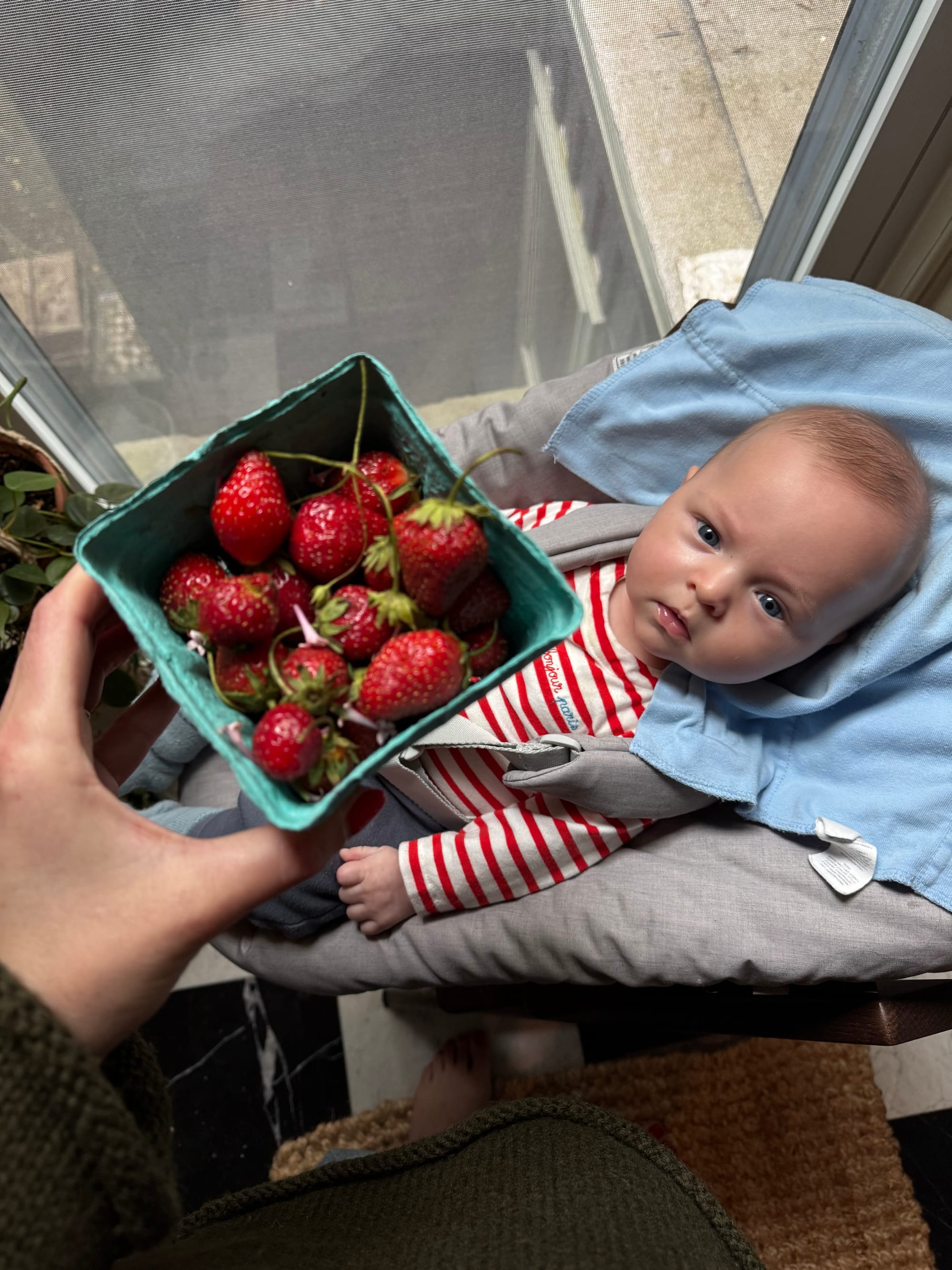 A Little Baby Registry Guide