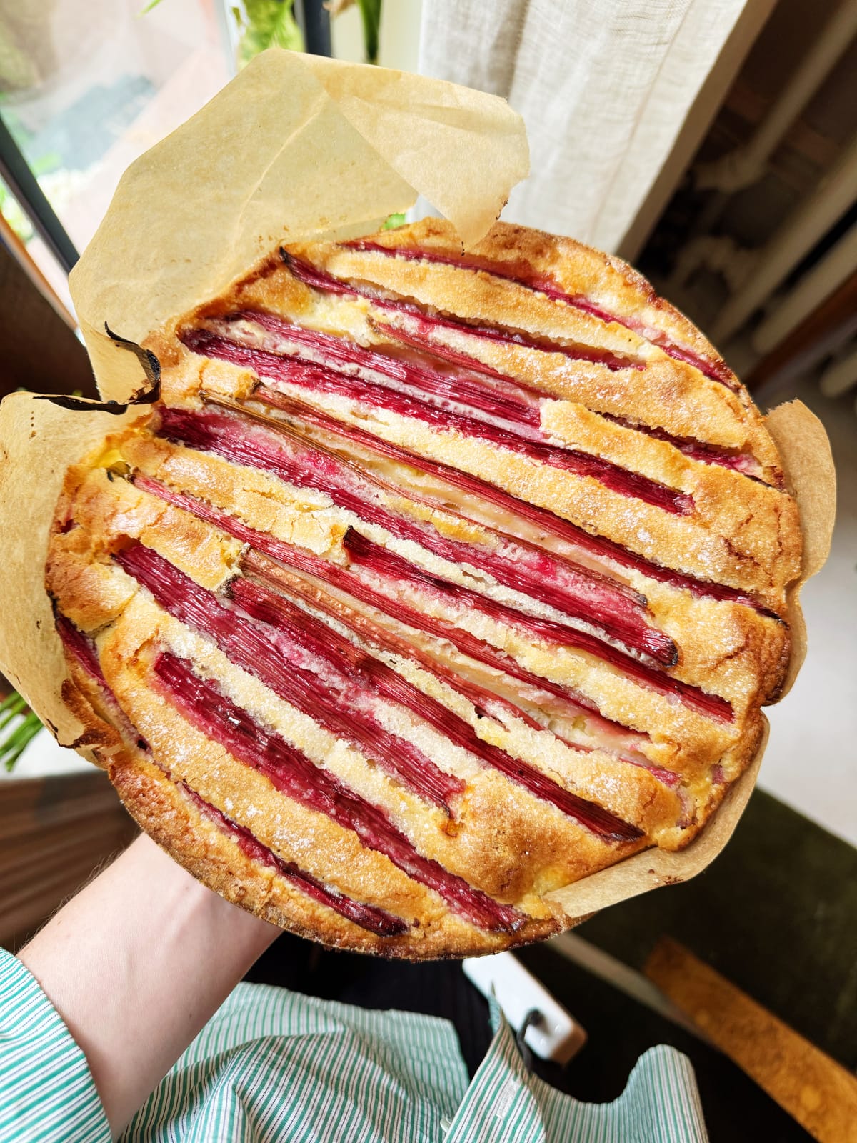 Rhubarb is a gift