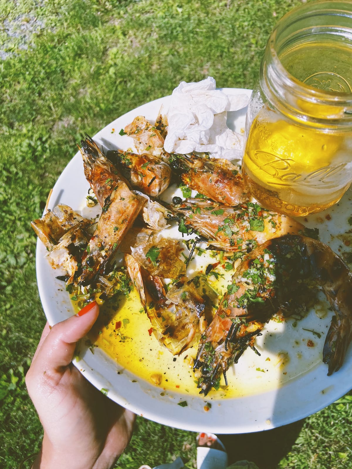 shrimp on vacation